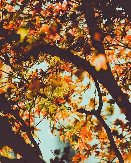 EbyDental's tweet photo. Take some time to enjoy the beauty of the fall colors. #fall #wisconsin https://t.co/wEa0EwAZOi