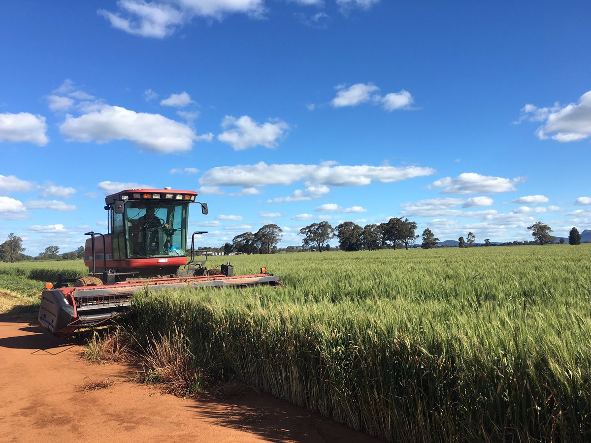 Crops fucked at the #gullieagbureau with <a href="/Adamsomerville3/">Adam somerville</a>. Time to run the pill press over it if it won't do 30 bags