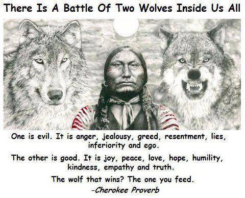Geko1967's tweet photo. There is a battle of two wolves inside us all. One is evil... the other is good. The wolf what Wins? The wolf you feed. #CherokeeProverb https://t.co/B5nPHIVQCW