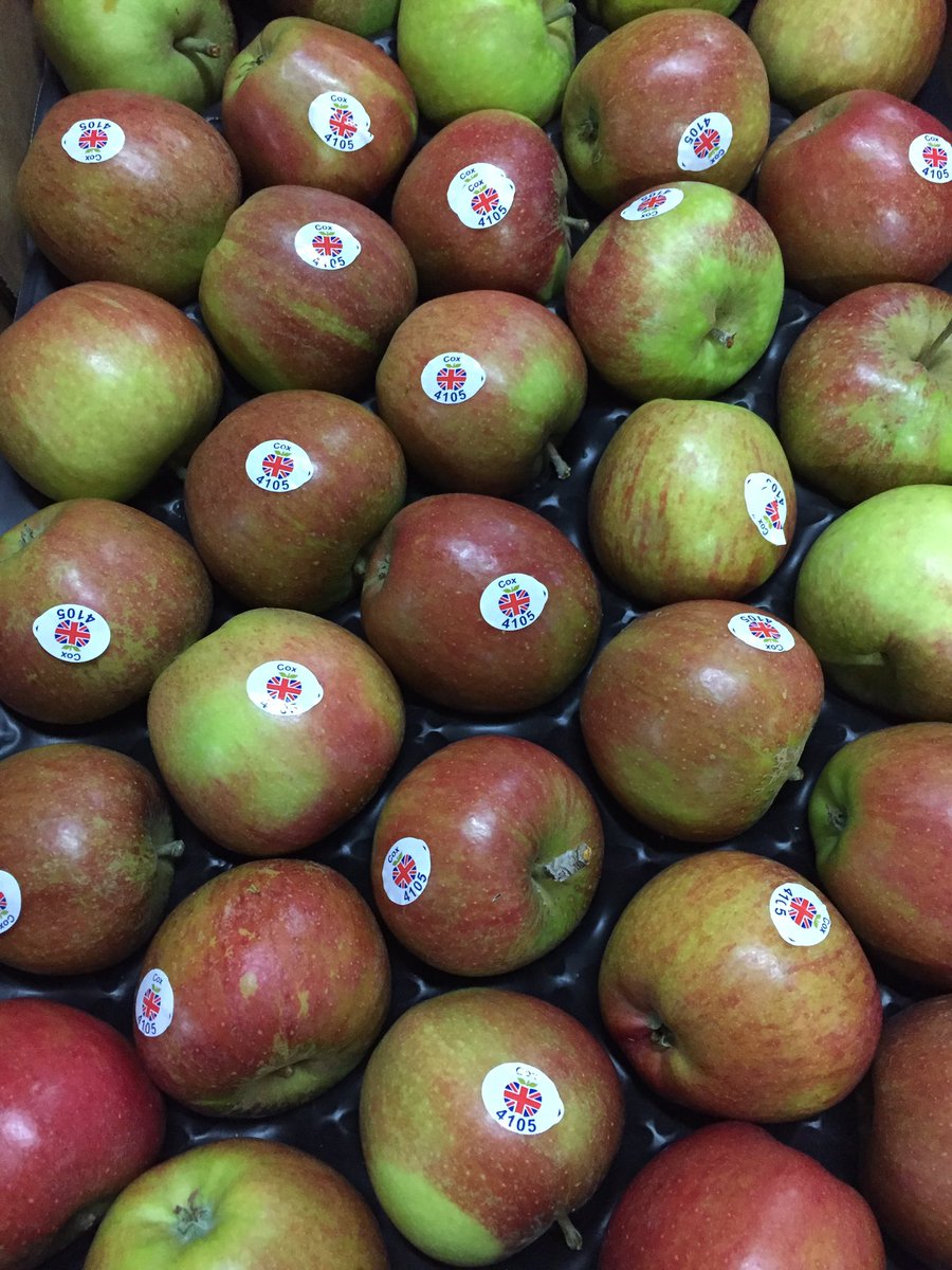 THB1938's tweet photo. @THB1938 championing Kent apples #kent #kentfarms #firstclassproduce https://t.co/2XY2rwQVWX