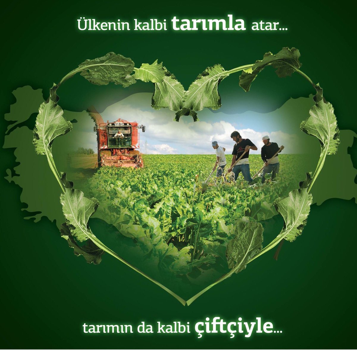 m.ali öz (@malimmalim) on Twitter photo 