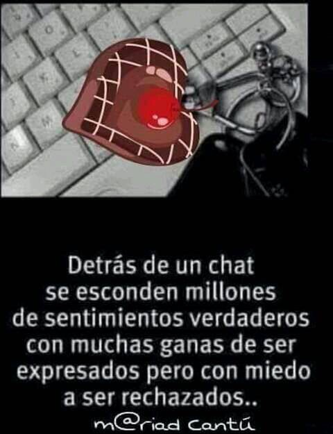 Alfredo Bonilla tweet media