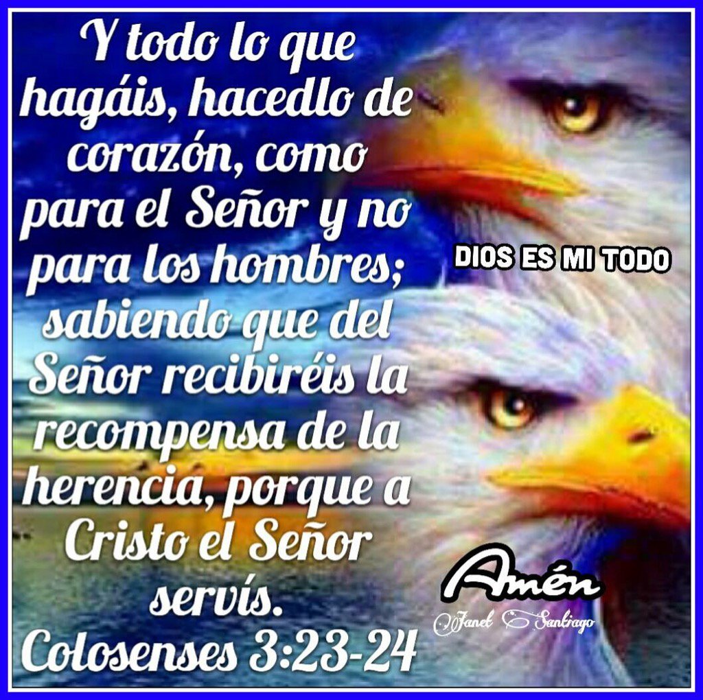 Alfredo Bonilla tweet media