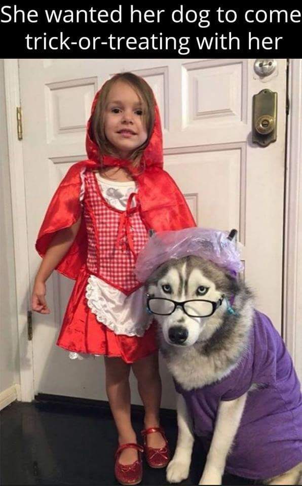 dethbox's tweet photo. Best Halloween costume https://t.co/jSZeKFteHQ