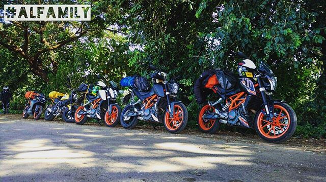 AutologueDesign's tweet image. #ALFamily couldn't get enough of Kodi last year and had to head back for some inspiration and laid back time with the ladies.