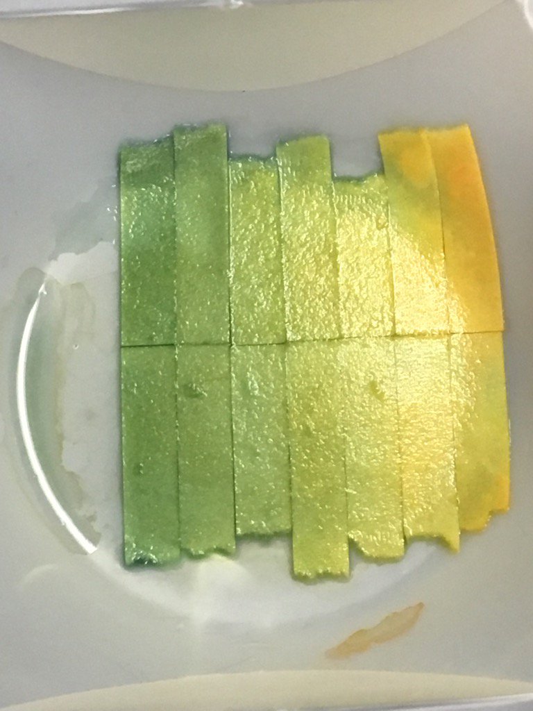 meganmckay2001's tweet photo. This is the pH paper from NaOH in potato homogenate. The two trials were very similar! @MsLiakakos #biohawks https://t.co/vAR3t5xkJF
