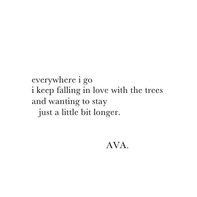 Jones_Kim_90's tweet photo. 🌲🌳🌴🌿 https://t.co/UUrAs7bMcn