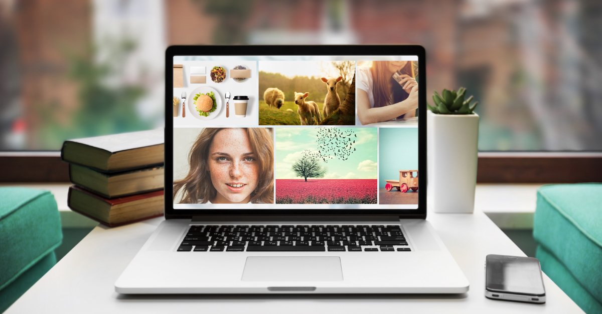 freelancer's tweet photo. Looking good! Stock photo resources to make your design absolutely stunning: https://t.co/1t6GJqvnQG #stockphotos #graphicdesign #webdesign https://t.co/cQivnIC8Rm