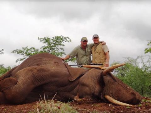 20Minutes's tweet photo. Pascal Olmeta au cœur d'une polémique après avoir participé à une chasse à l'éléphant https://t.co/9vWr7giUqB https://t.co/01aCvxTxTr