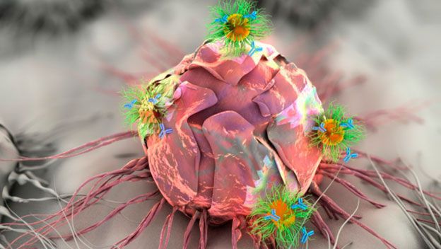 computerhoy's tweet photo. Desarrollan un espectrómetro para diagnosticar el cáncer con el móvil. https://t.co/B2LdwlRAJM https://t.co/JUk5MWHOpL