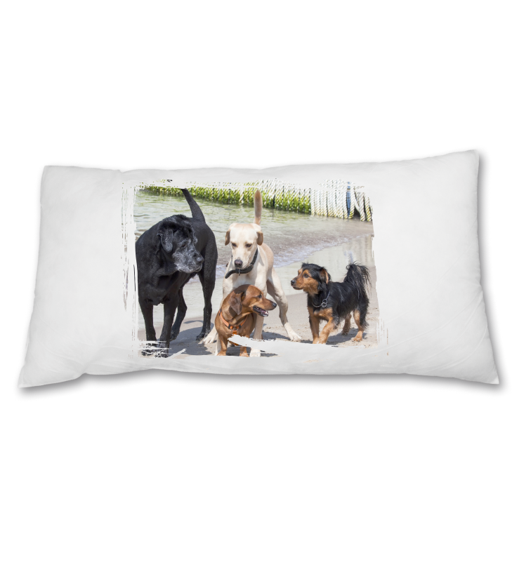 tshirtdruck24's tweet photo. #pillow 100% Microfaser #photo #MAKEYOURSELF #Christmas #gift #christmasgifts https://t.co/zftG4zYGVm https://t.co/WXLHZKsbj3