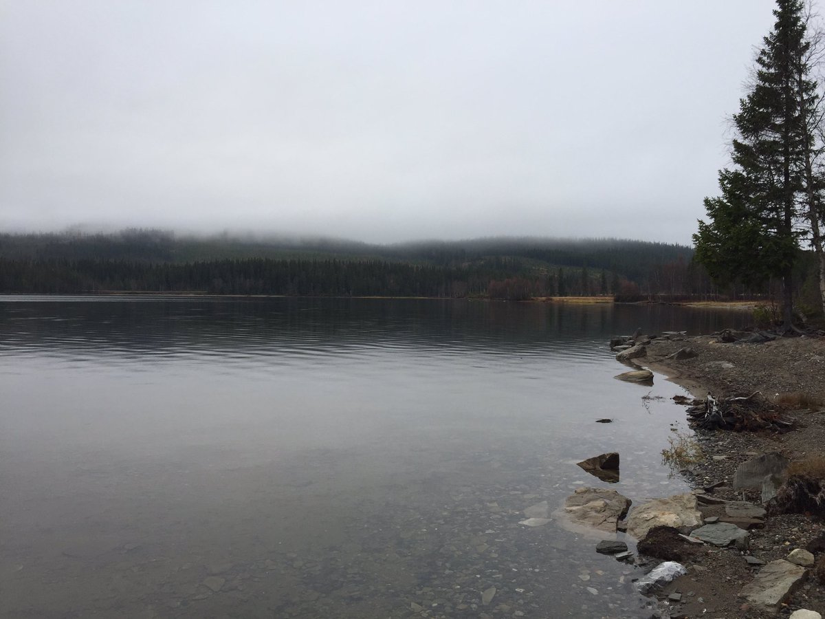 Even after a nights sleep I'll stick to my word - <a href="/Faviken/">Magnus Nilsson</a> delivered the greatest dining experience to date.