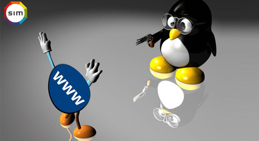 findiamjustin's tweet photo. #User-friendly guide to recover #PENGUIN 4.0 ATTACK https://t.co/6JheA0JhC7 https://t.co/rgCKJIjq8K