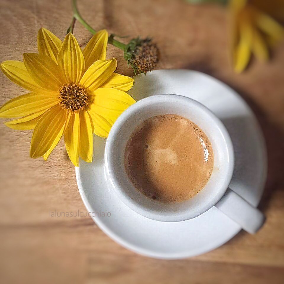 Luna Sul Cucchiaio Te Lo Dico Con Un Fiore Buongiorno E Buon Caffe Coffeeforyou