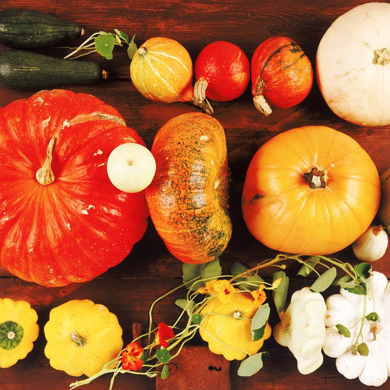 ajumma_92's tweet photo. New ingredients are sneaking into #Ajumma 's #korean #bibimbaps to give you a taste of autumn! 
Come and test the new #flavours!
#IESEGSMM https://t.co/DYESU1t10w