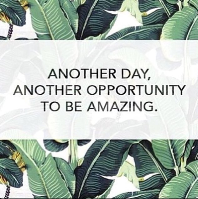 SarahPretor's tweet photo. I believe that a positive attitude backed by passion and hard work can achieve anything. #WednesdayWisdom https://t.co/jDaZohi8tz