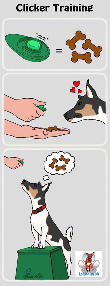 PetGuild's tweet photo. A clicker isn't magic until you make it magic. A good brain clicker session is a great way to get your dog thinking via @lothloriendog #dogs https://t.co/gvDT5uzIjh