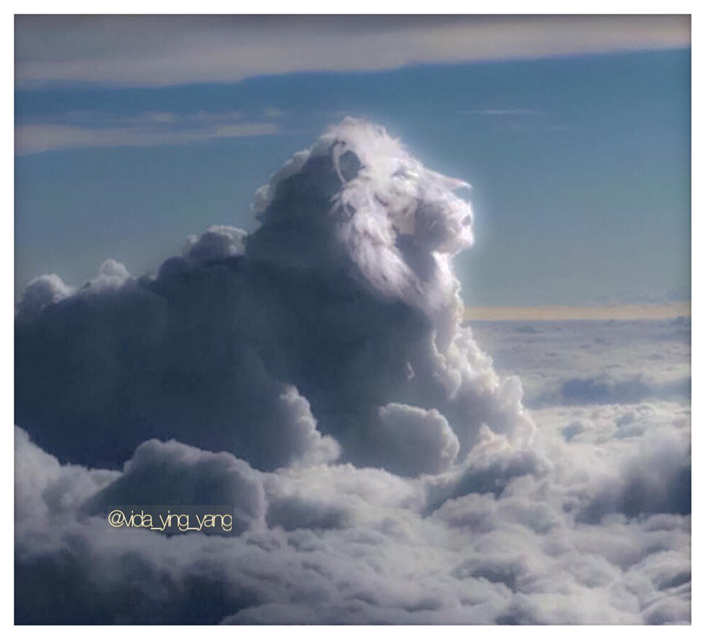 Good morning to all ☕️🍩🧀🍞🍯🍐🍎🍌🍒🍓 Wishing a beautiful Wednesday 🌞😍 XoXo 🌻❤️😊