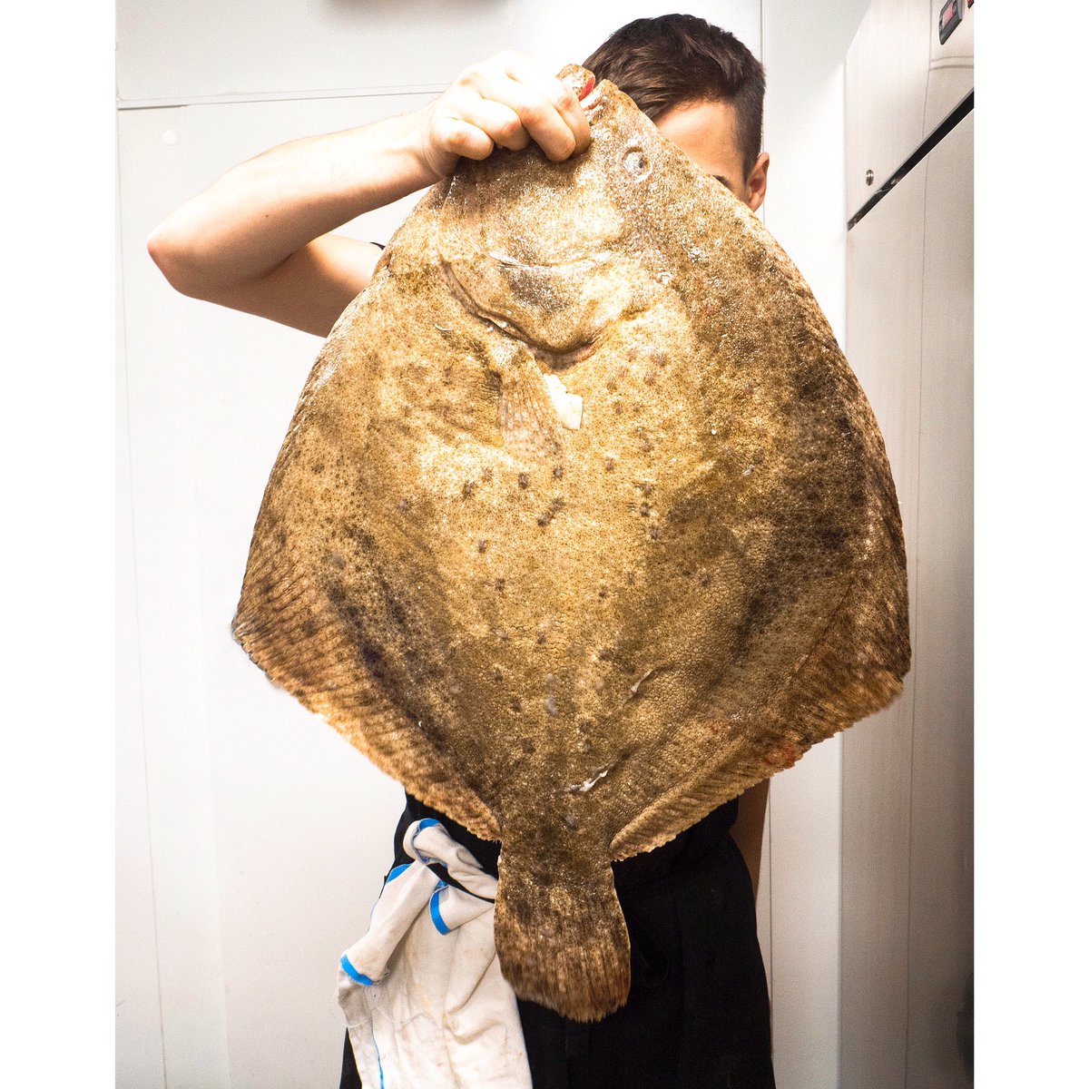 alkimiaJV's tweet photo. Avui turbot #cuinadema #alkimia #remol #turbot https://t.co/xknlOcrvlU