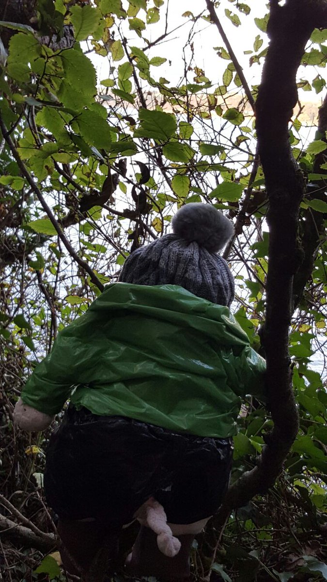 XrayPig's tweet photo. Trying to get a better look at the view. #xraypig #stealth https://t.co/HCeBe8a7WO
