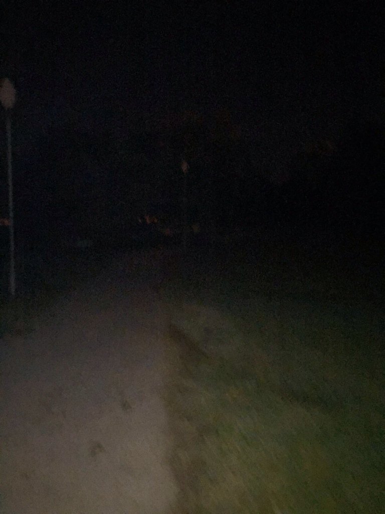 Así está el parque del Albarregas <a href="/ayto_merida/">Ayuntamiento de Mérida</a> <a href="/AlumbraPMerida/">Alumbrado Mérida</a> <a href="/pedroacedo/">Pedro Acedo</a> @Belen_Larios <a href="/Juan_A_Morales/">Juan Antonio Morales 🇪🇸</a> <a href="/crisloble/">Cristina Lozano</a>