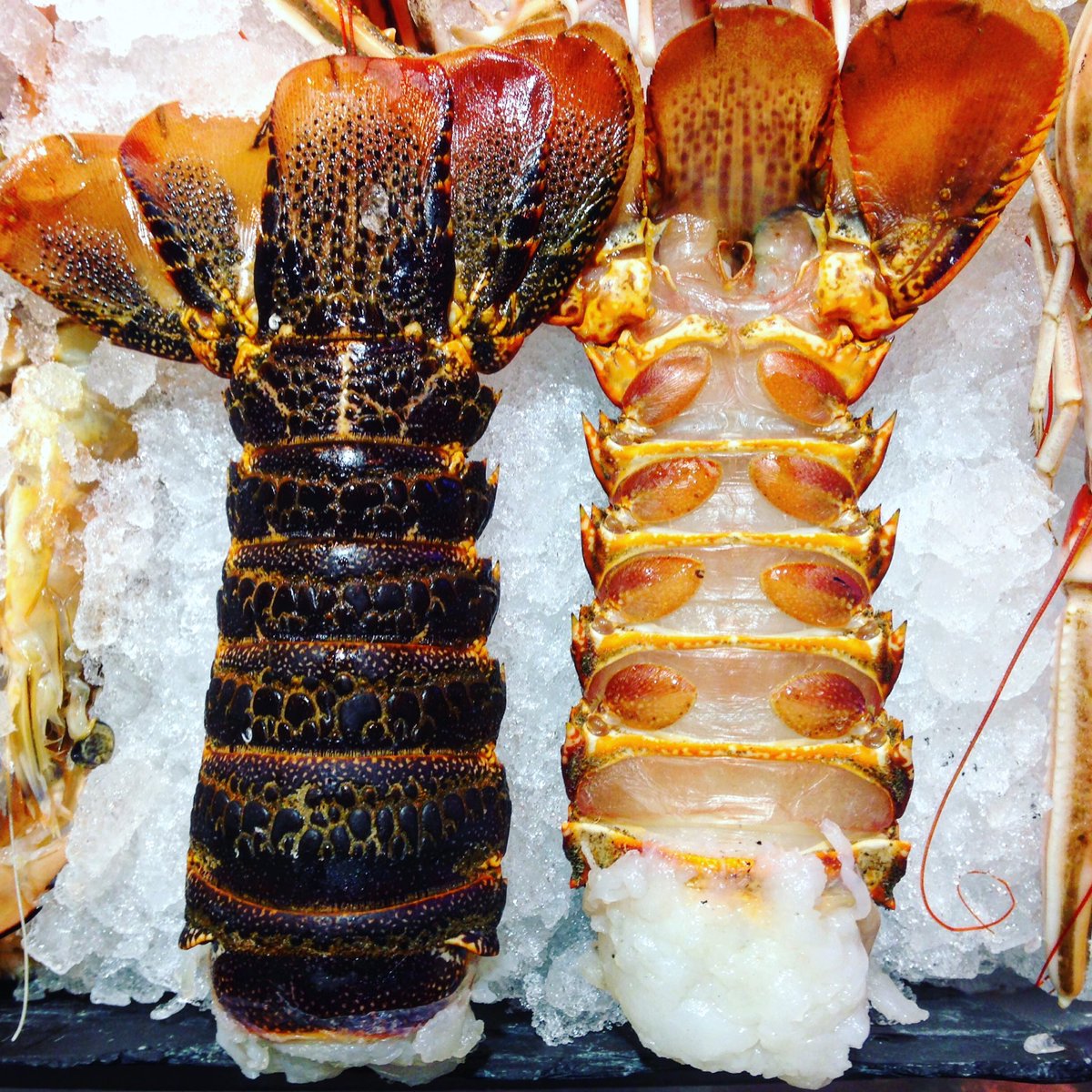 Juicy! Tristan lobster tails <a href="/TristanLobster/">Tristan Lobster</a> <a href="/streetlobster/">jamie angus</a> <a href="/SouthbankFish/">Southbank Fresh Fish</a>