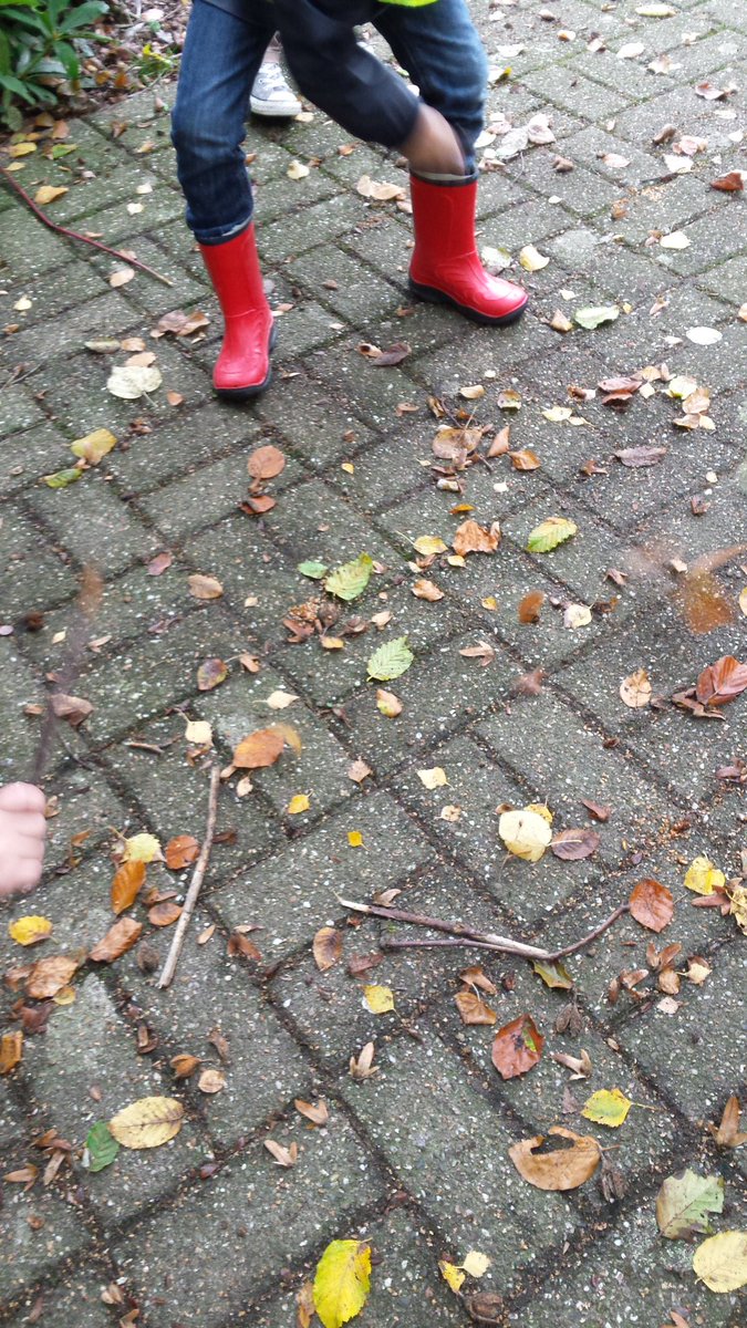 vdb_debby's tweet photo. @PenOArteveldehs  vegen met takken!! https://t.co/tGyvVogCtq