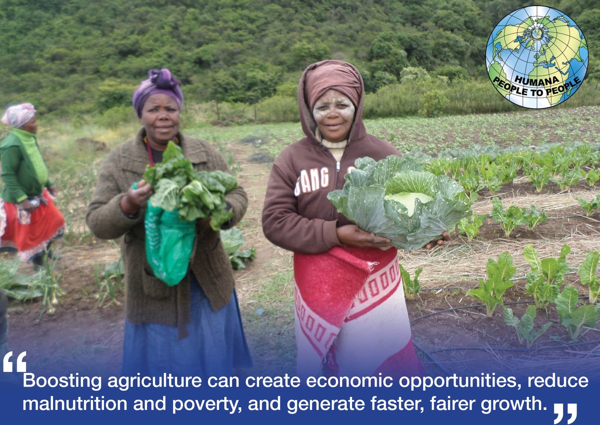 HumanaSA's tweet photo. #FoodSecurityMonth https://t.co/TTZh0m21ud