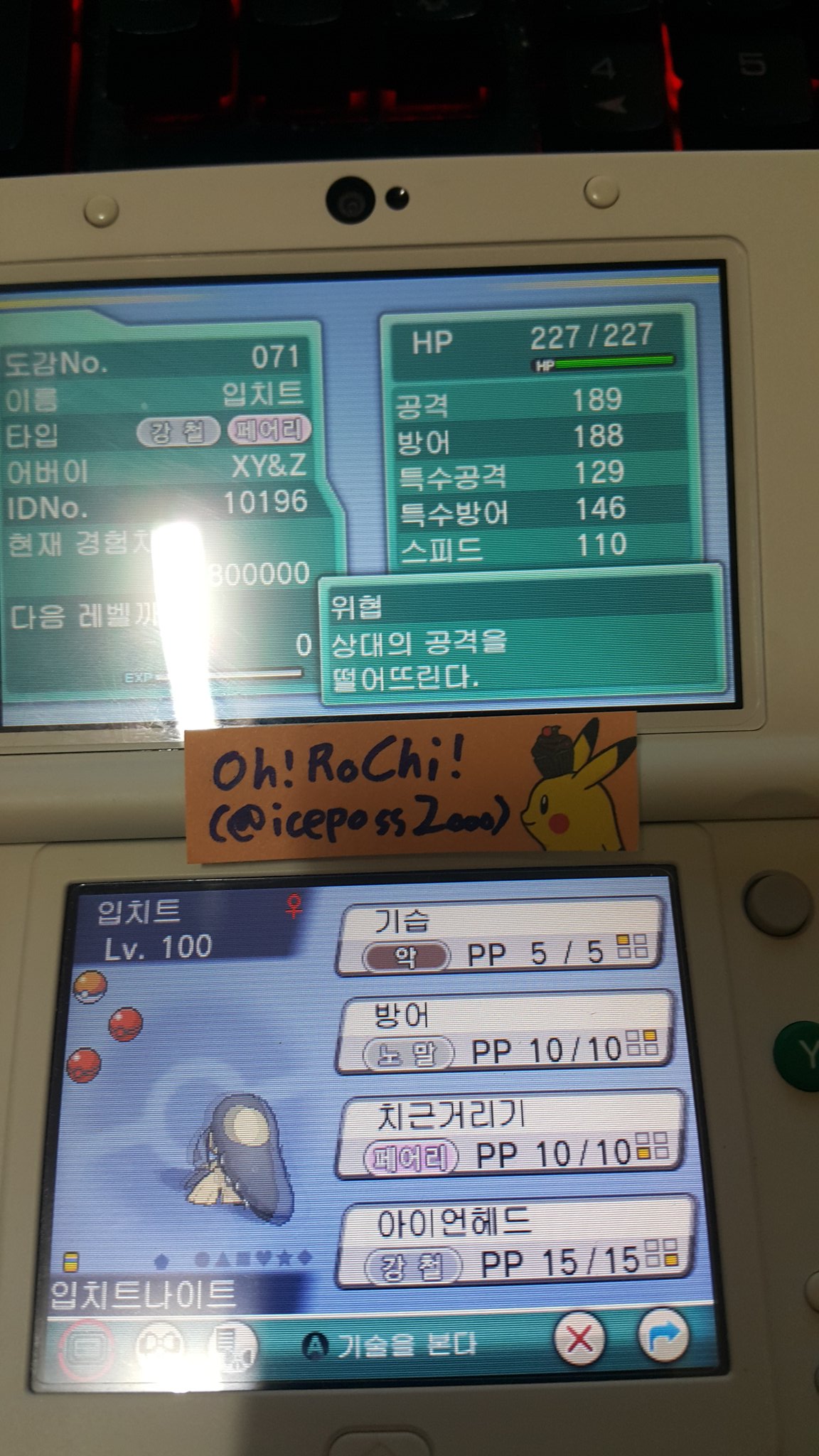 Oh Rochi 日本行きたい ポケットモンスターxy Z 新エピソード放送記念 クチートナイトを持つ クチート ゲンガーナイトを持つ ゲンガー の情報です D ゝw Oh Rochi 日本行きたい ポケットモンスターxy Z 新エピソード放送記念 クチートナイトを持つ クチート ゲンガーナイトを持つ ゲンガー の情報です D ゝw