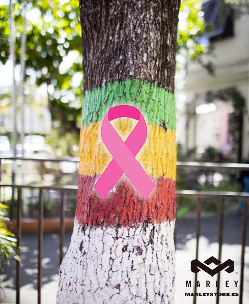 MarleyESP's tweet photo. The House of Marley España se une al #DíacontraelCancerdeMama y traslada todo su apoyo a las mujeres afectadas y sus familias.

#OneLove https://t.co/F4CkZP3C1i