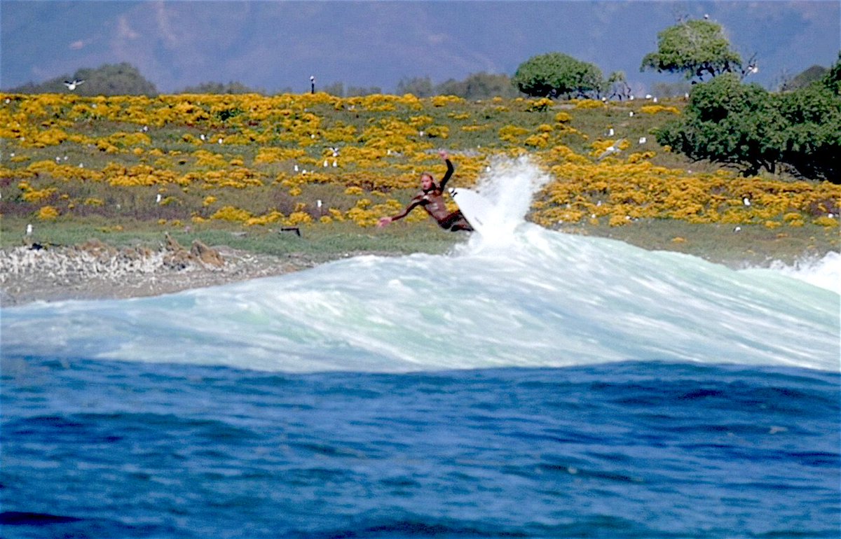 KapteinKai's tweet photo. Surfing #RobbenIsland was an incredible experience! Check out the video of our session https://t.co/kiPGjVGbO3 @AdrenalisedSA @Zigzagsurf https://t.co/e8HA8Gla75