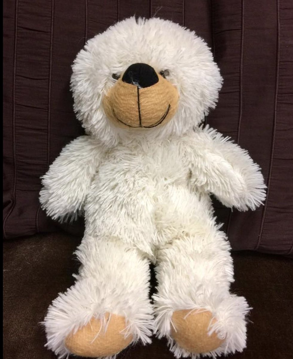 This lovely little teddy was found all alone in the arcade this week. Please share, so we can help teddy find his family again! 🐻🐻🐻