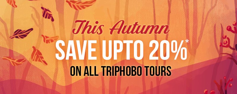 TripHobo's tweet photo. TripHobo Autumn Sale: This Autumn Save upto 20% on All TripHobo Tours - https://t.co/NbVWqv1Fni  #WednesdayWisdom #TripHobo #AutumnSale https://t.co/tY10MdzFth