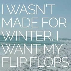 bossanovabikin1's tweet photo. Bikini season we are following you on the globe 🌍🌞 #bossanovabikini #endlesssummer #ss17 #riostyle https://t.co/t6iTN6HMmR