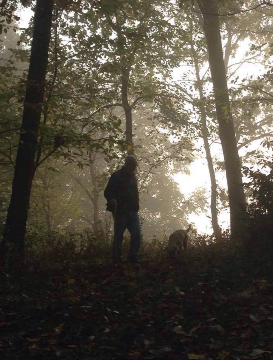 Domenica ad #Alba si celebra la Giornata del Cane da Tartufo con la possibilità di cimentarsi nella cerca! Info 0173.361051 #albatruffle