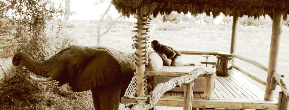 OUR SHORTLISTED SHOT FOR THE BUSH LIFE IN #BOTSWANA

#LostInBots for the love of giants
at <a href="/WeAreWilderness/">Wilderness</a> Mombo

Photo By Cheri Lin Ross