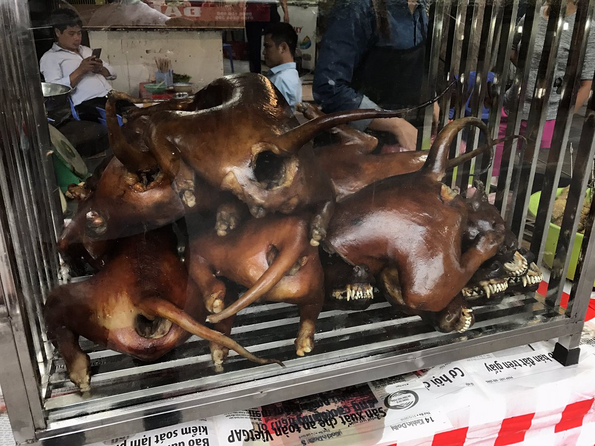 Syafiq Mobin On Twitter Anjing Bakar This Is Real Nak