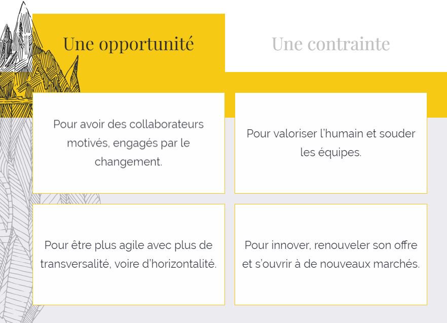 Quels pilotes pour la transformation digitale ? bit.ly/2dq5HBX via <a href="/INfluencialemag/">INfluencia</a> #TransfoNum