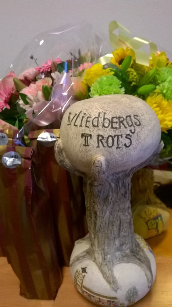 WWVlijmen's tweet photo. Straks om 20 uur weten we wie zich 'Trots van de Wijk' mag noemen. Kom naar de Mand hef het glas mee op de winnaar! https://t.co/AsLRnSEaJD