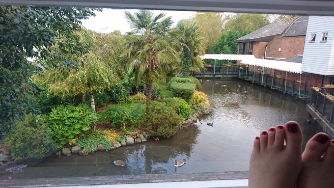 Peaceful view from the window seat in my hotel room this morning 🏝 https://t.co/1GDkC0ejG6<a href="/tag/photoshoot"class="tags"><span>#photoshoot</span></a><a href="/tag/somerset"class="tags"><span>#somerset</span></a><a href="/tag/waterfall"class="tags"><span>#waterfall</span></a>