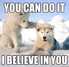 miriamdewolf's tweet photo. @Pegafish006 #mastermpc https://t.co/7PjzcVPdR9