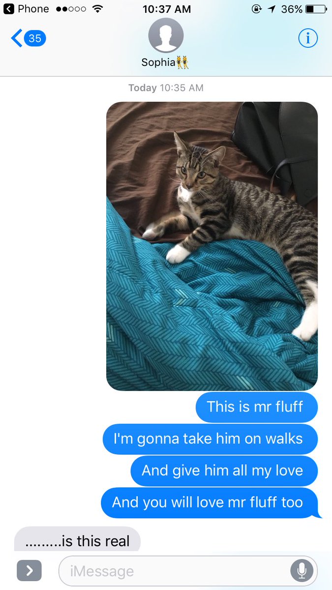 kelsmeltz's tweet photo. When you tell your roommate your adopting a friend #mrfluff https://t.co/D3EYVdBgq4