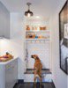 elCasaMgmt's tweet photo. How to Install a Dog-Washing Station
#DogLovers #remodelers #contractors #dogwashingstation  https://t.co/US7fLg9dgw https://t.co/9w4POK1qU1