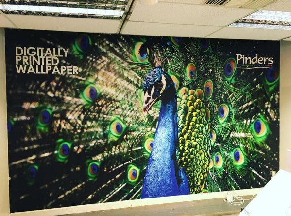 lexophillia's tweet image. Happy #InternationalPrintDay; here are just a few of my fave things @EFIPrint customers made! #ImagingofThings #IPD16 #wideformatwednesday