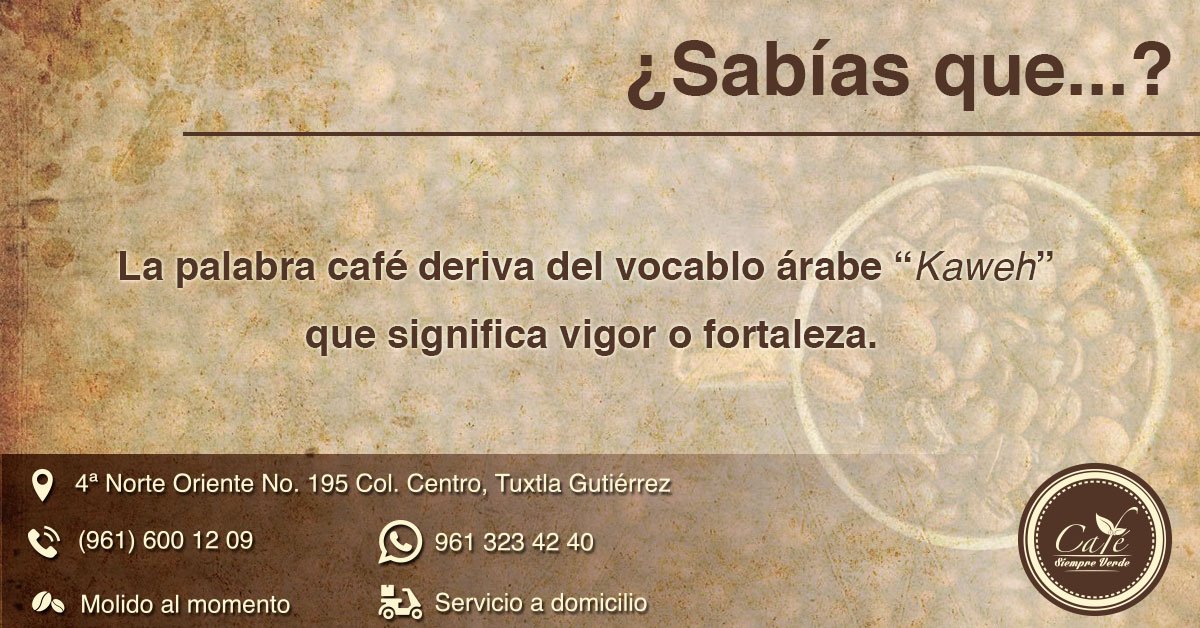 Café Siempre Verde tweet media
