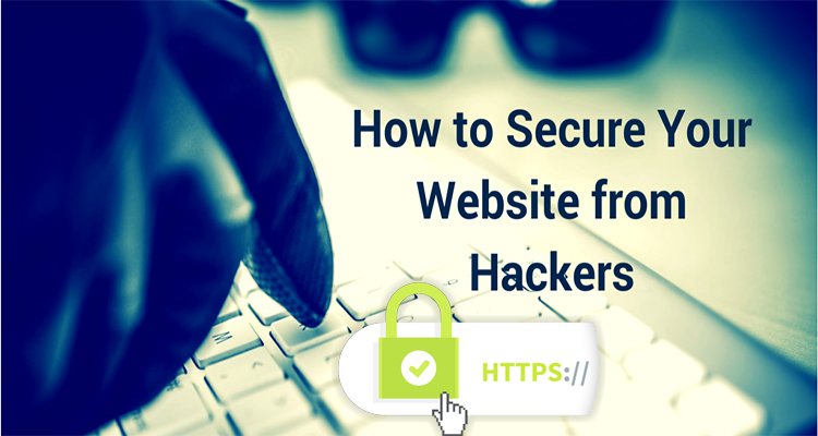 AISHubAU's tweet image. How to secure your website?Look have to bit.ly/2ehAzYA
#webdesignperth #securewebdesign #webdesign