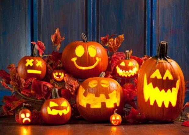 KnightlysTowyn's tweet photo. Who's as excited as these pumpkins for half term?! We are open EVERY DAY next week and we've got a MASSIVE weekend of entertainment planned! https://t.co/CyJGfvP8vp