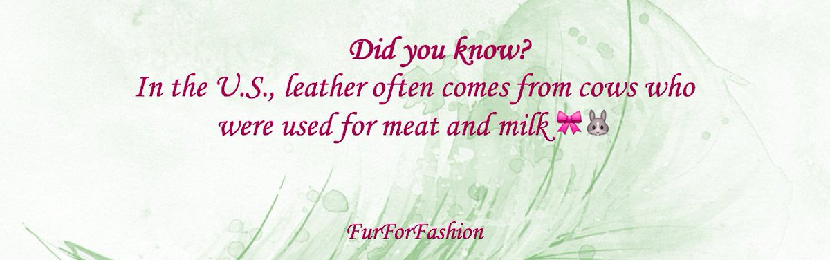 FurForFashion's tweet photo. 🎀🐰#FurForFashion #AnimalCruelty #Vegan #Animals #BloodFashion #EthicalFashion https://t.co/OqIGj3BQkv