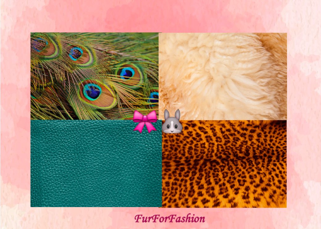 FurForFashion's tweet photo. Feathers, wool, skin, fur, let these animals keep theirs. 🎀🐰#FurForFashion #AnimalCruelty #Vegan #Animals #BloodFashion #EthicalFashion https://t.co/4HcJskkEt0