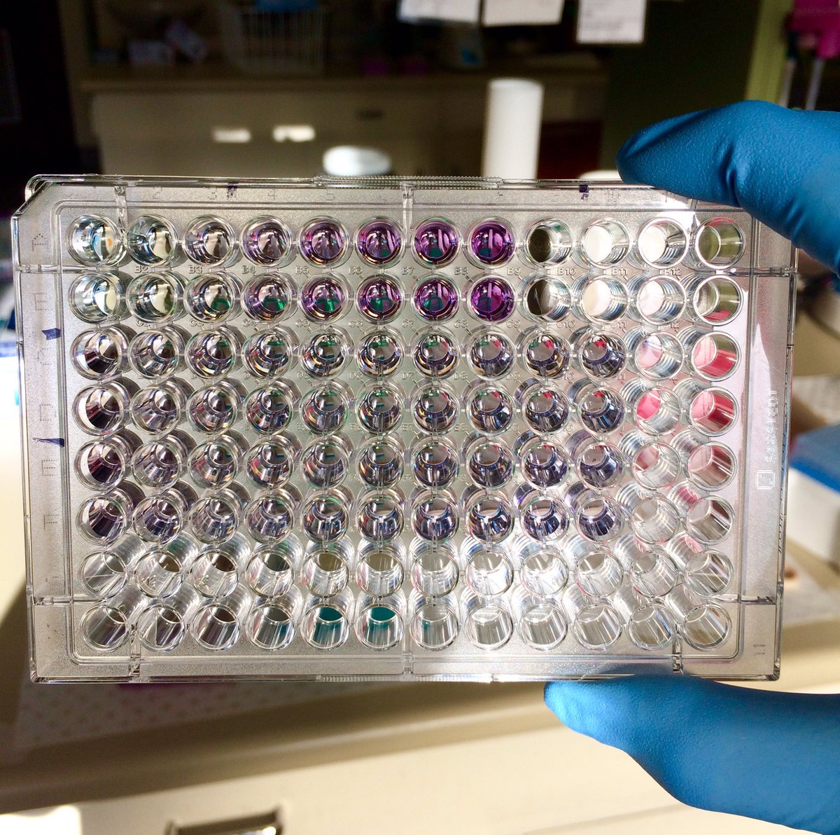 lensresearchlab's tweet photo. When your R squared value is over 0.99 for BCA! #DatStandardCurve #BCAanalysis #proteinquantification #westernblot #phdlife https://t.co/3JaVUuhY14